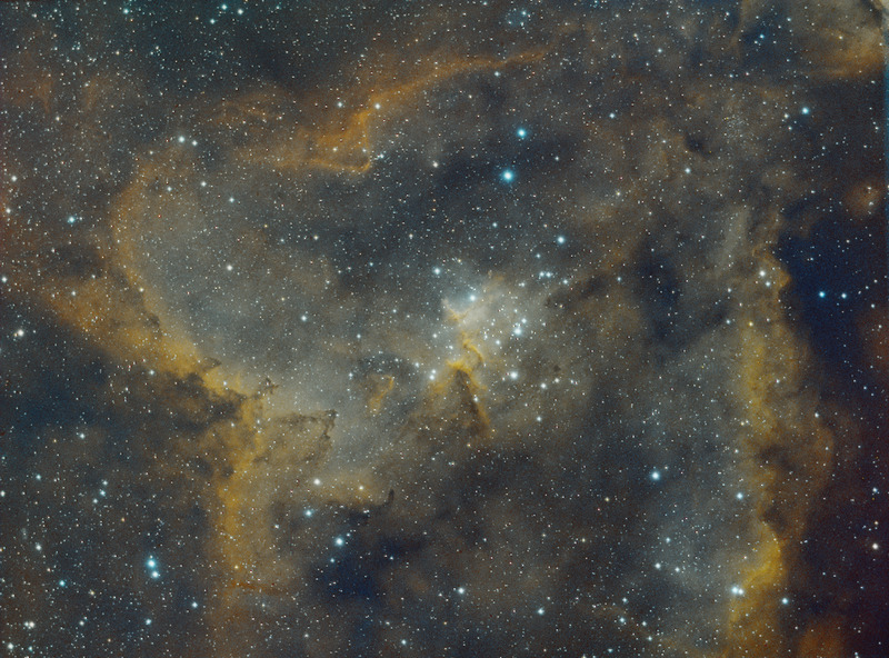 20141216_IC1805_Bicolor_Preview_present.jpg