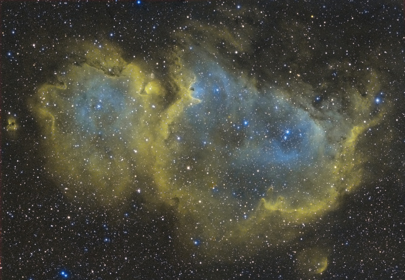 20151224_IC1848_Tricolor_1st_present.jpg