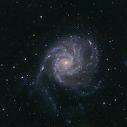 M101_BSA_20090425_V1_thumb.jpg
