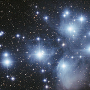 M45_20101007_PSSG_thumb.jpg