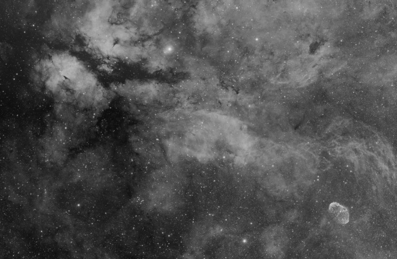 Sadr_NGC6888_Mosaic_Crop_Ha_present.jpg
