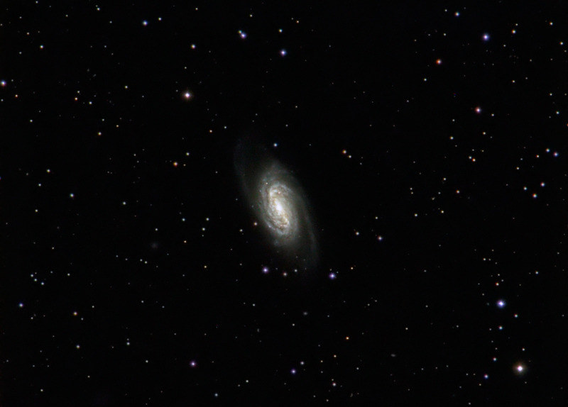 ngc2903_LRGB_20050204_v2_present.jpg