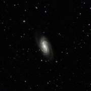 ngc2903_LRGB_20050204_v2_thumb.jpg