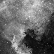 ngc7000_Ha_fs60c_11032005_v1_thumb.jpg